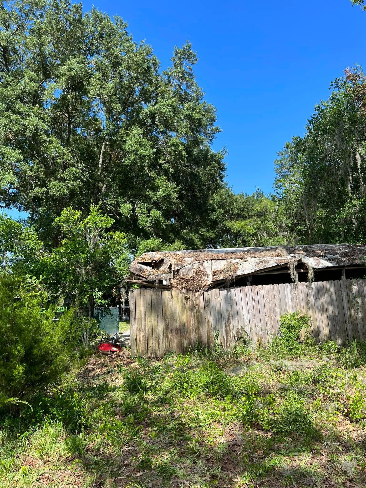 Dilapidated wooden shed with a damaged roof, surrounded by green trees and foliage under a blue sky.