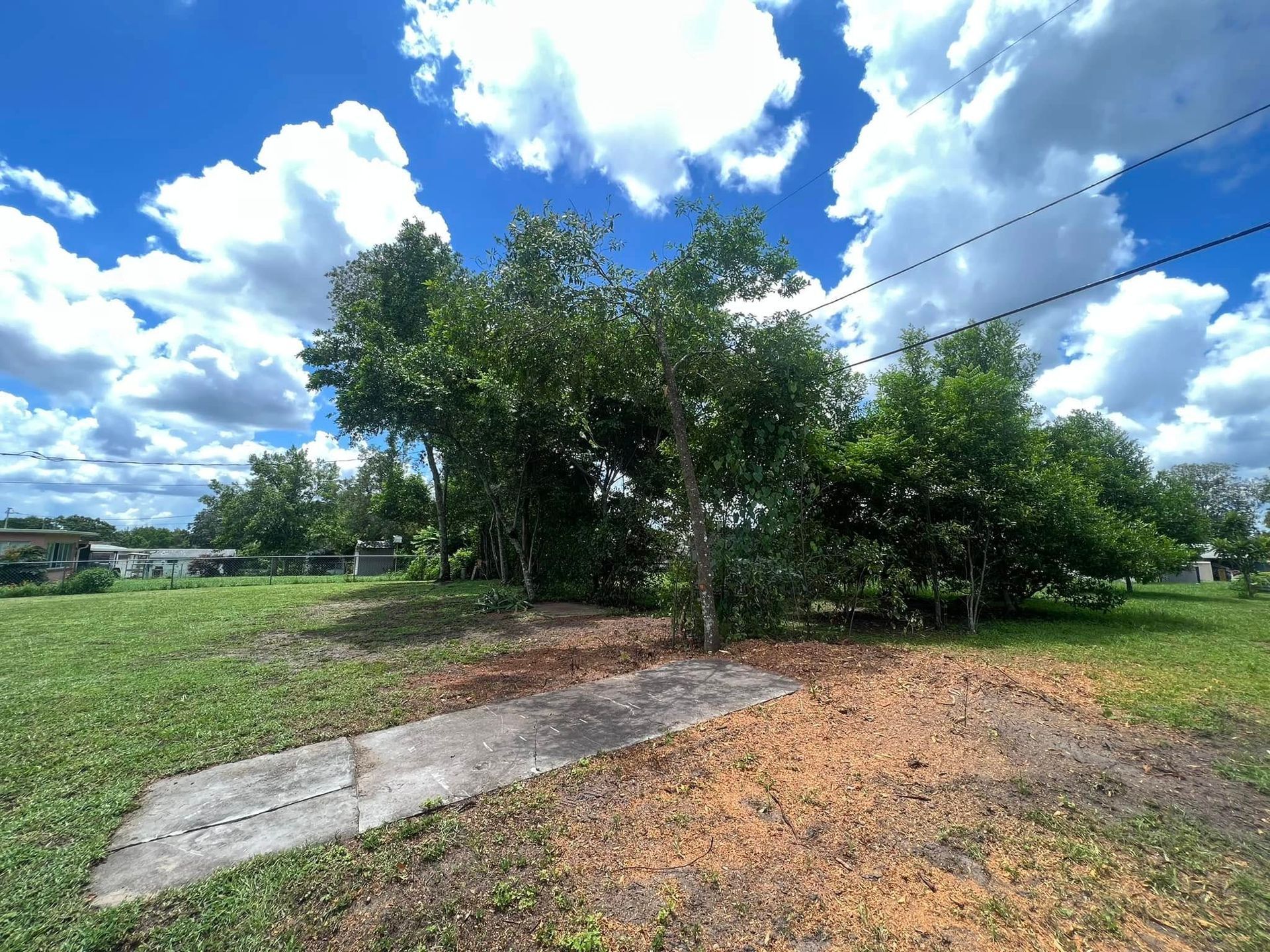 Lush green trees and bushes under a bright blue sky with fluffy white clouds, with a concrete slab in the foreground.