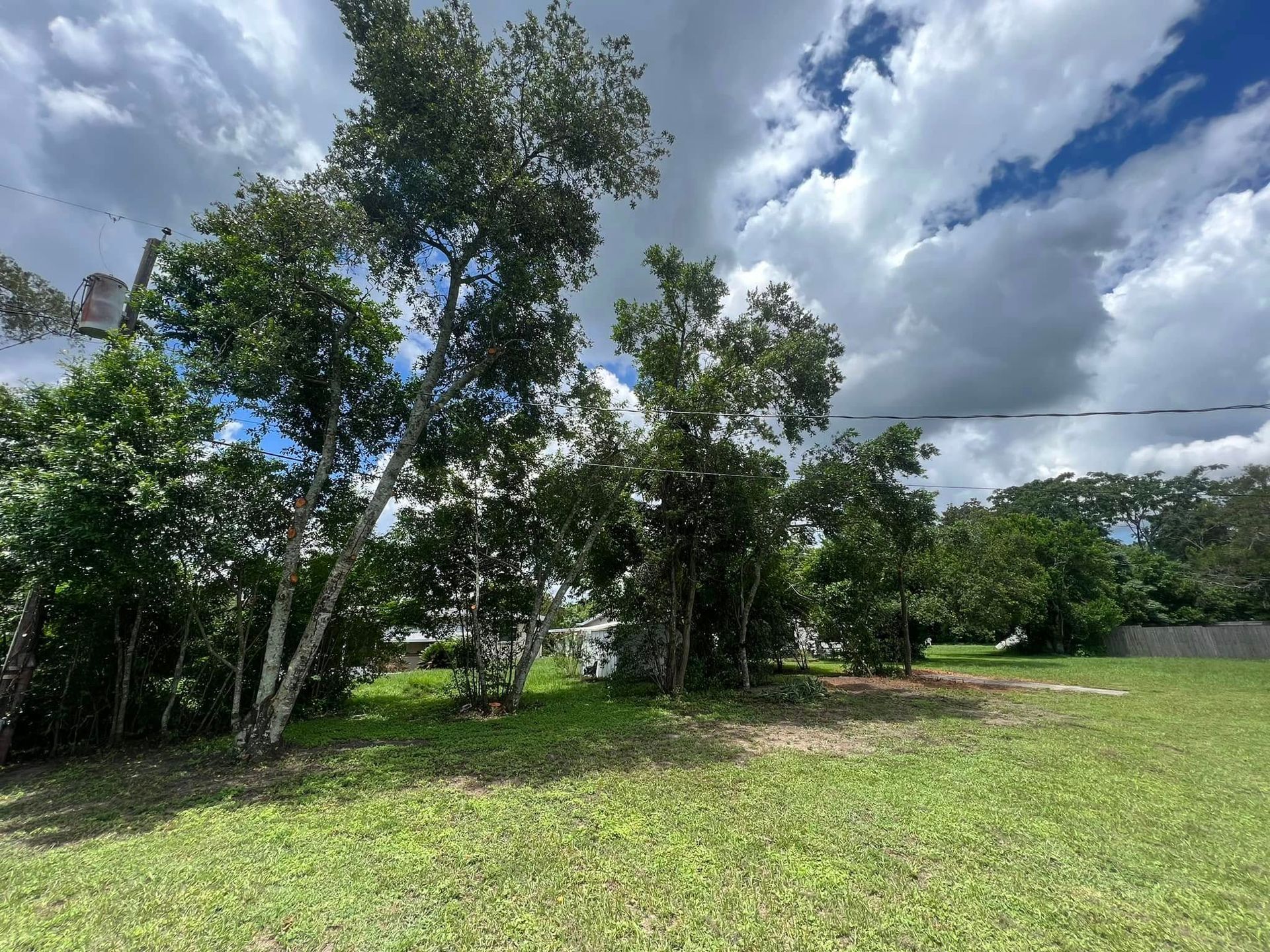 Grassy area with trees under a cloudy sky.