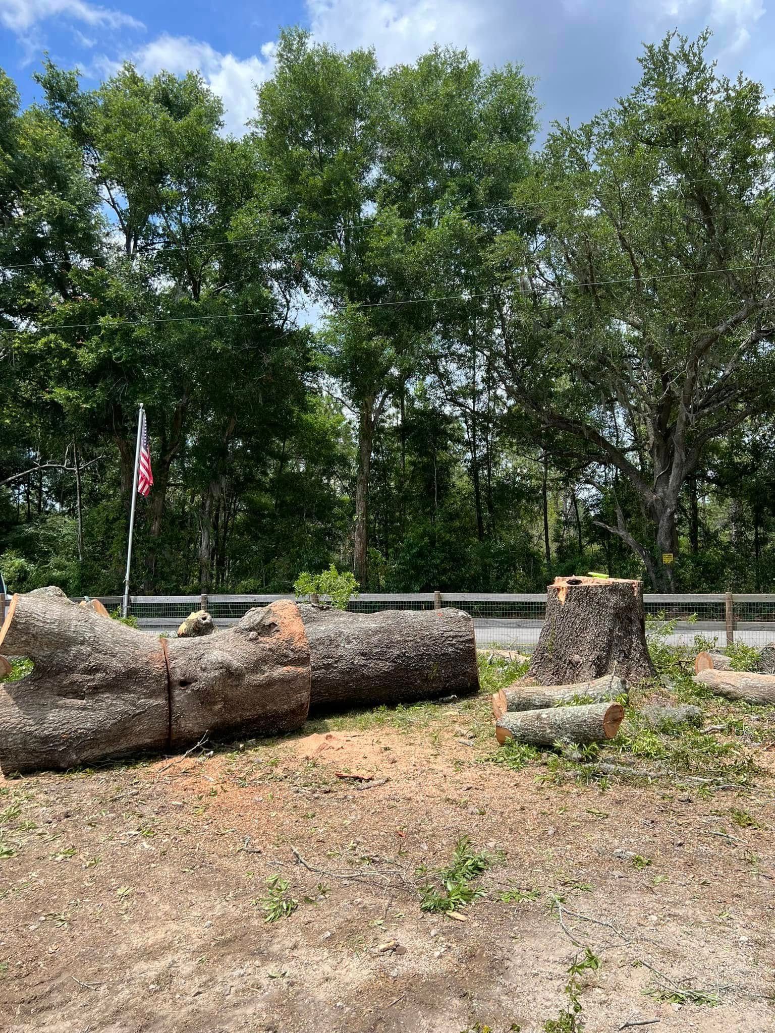 Felled logs and a stump near a road. Lush green trees and a partly cloudy sky.