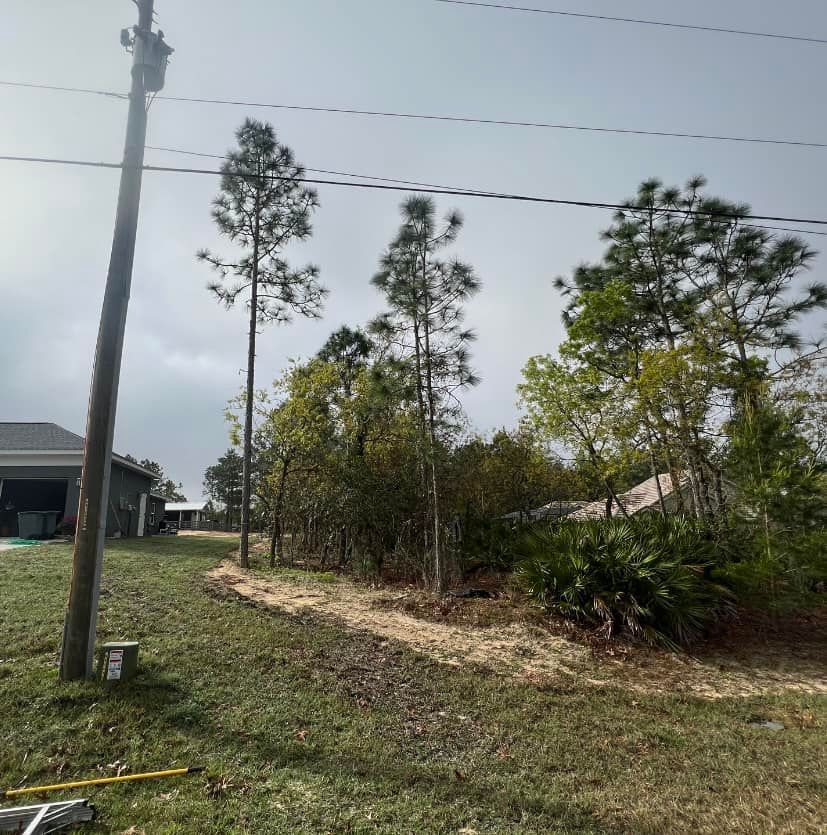 Grassy lot with power pole, several trees, and houses in the background under an overcast sky.