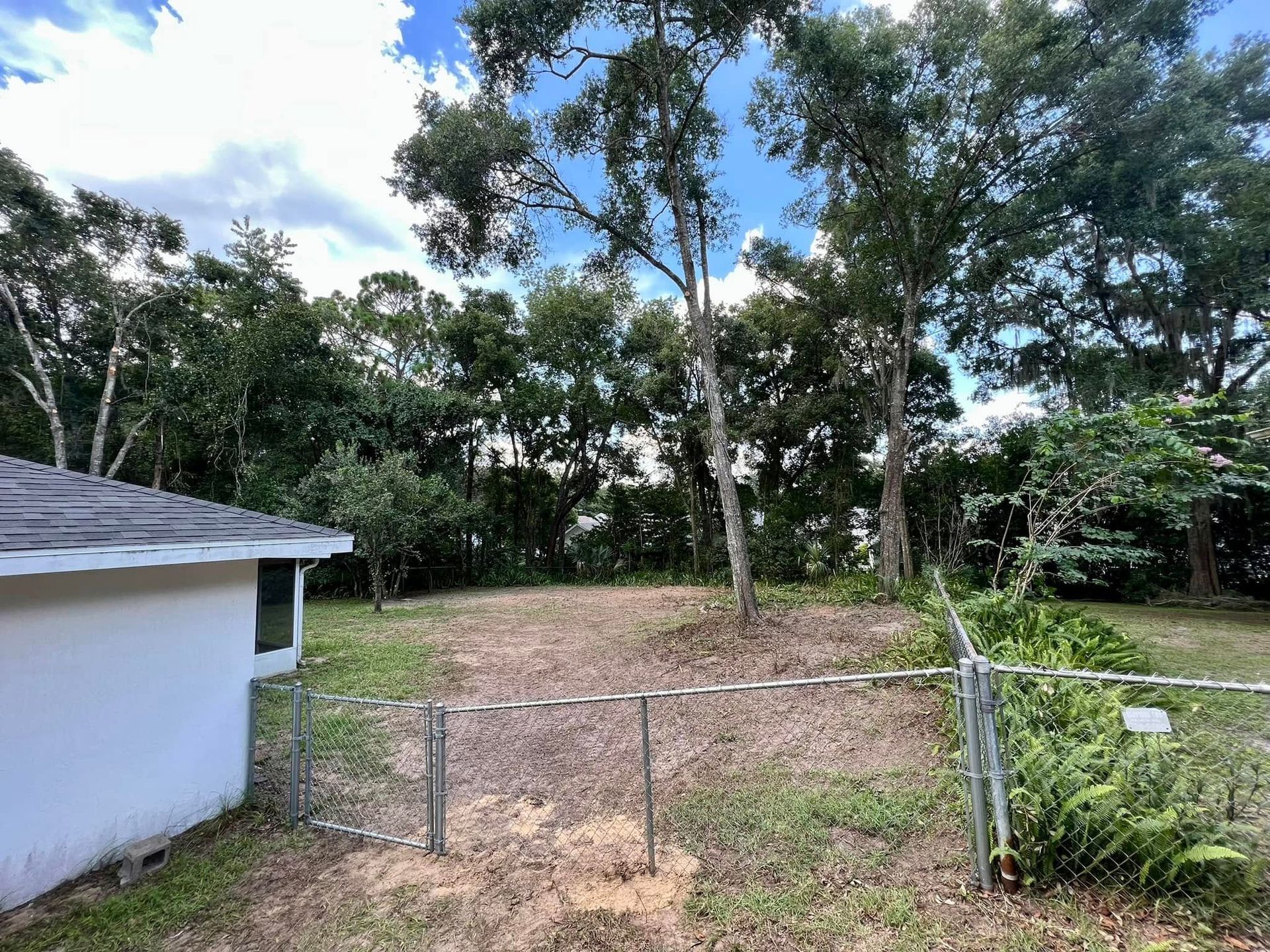 Backyard with a chain-link fence, green grass, trees, and a white house on a cloudy day.