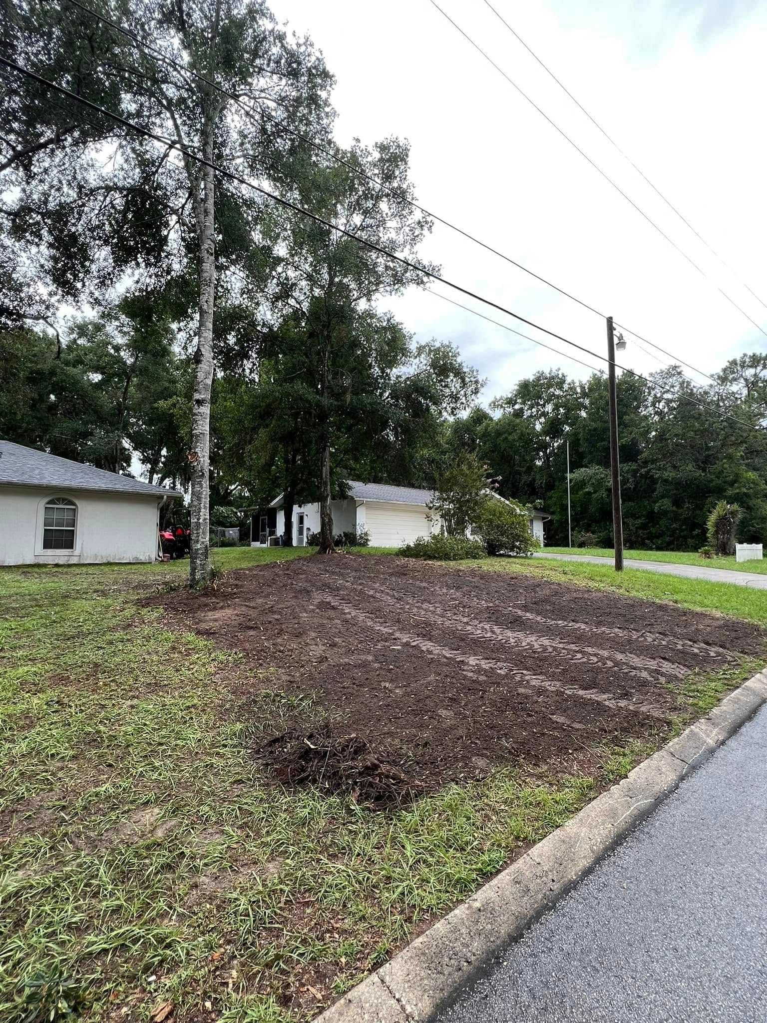 Brown mulch bed in a yard with a birch tree and houses. Street and utility poles in view.