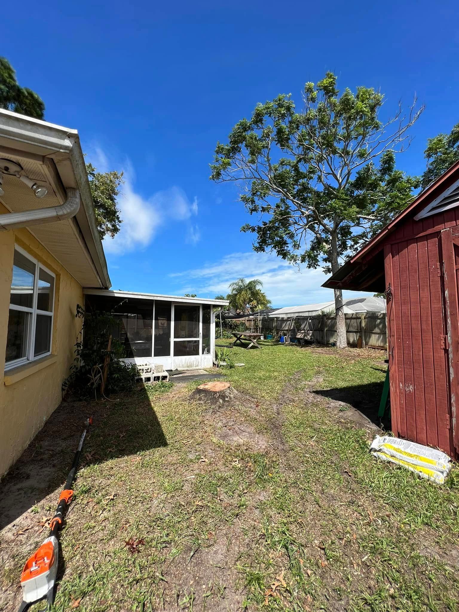 Backyard scene: yellow house, screen porch, red shed, and green grass under a blue sky with clouds.