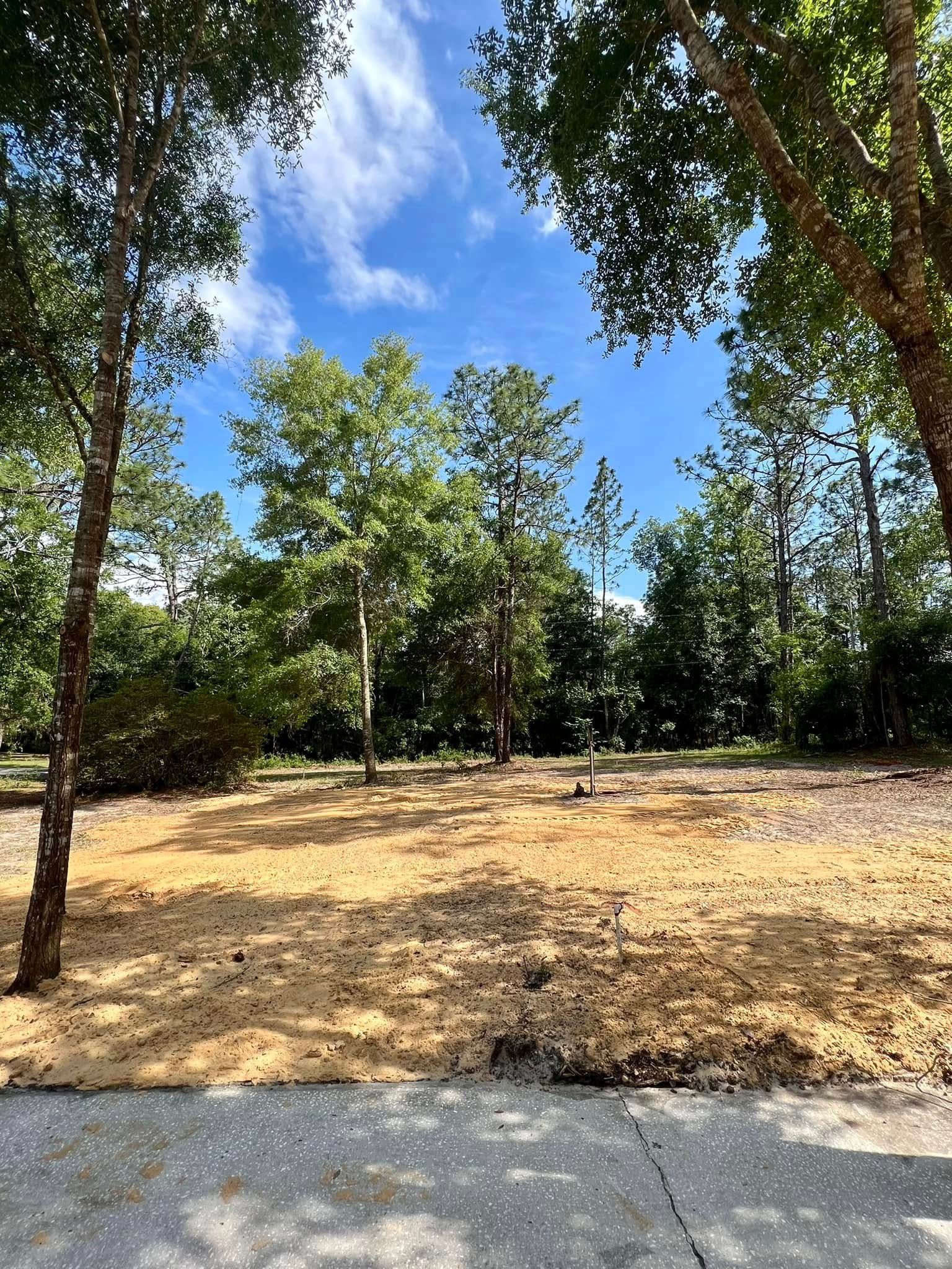 Cleared land with trees in the background under a blue sky with clouds.