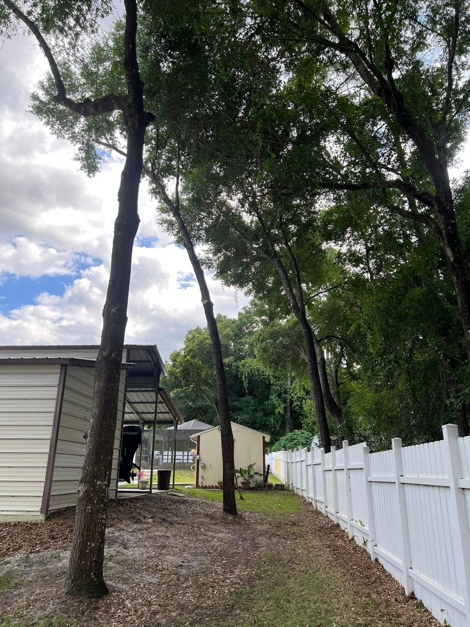 Backyard with trees, white fence, building with siding, and overcast sky.