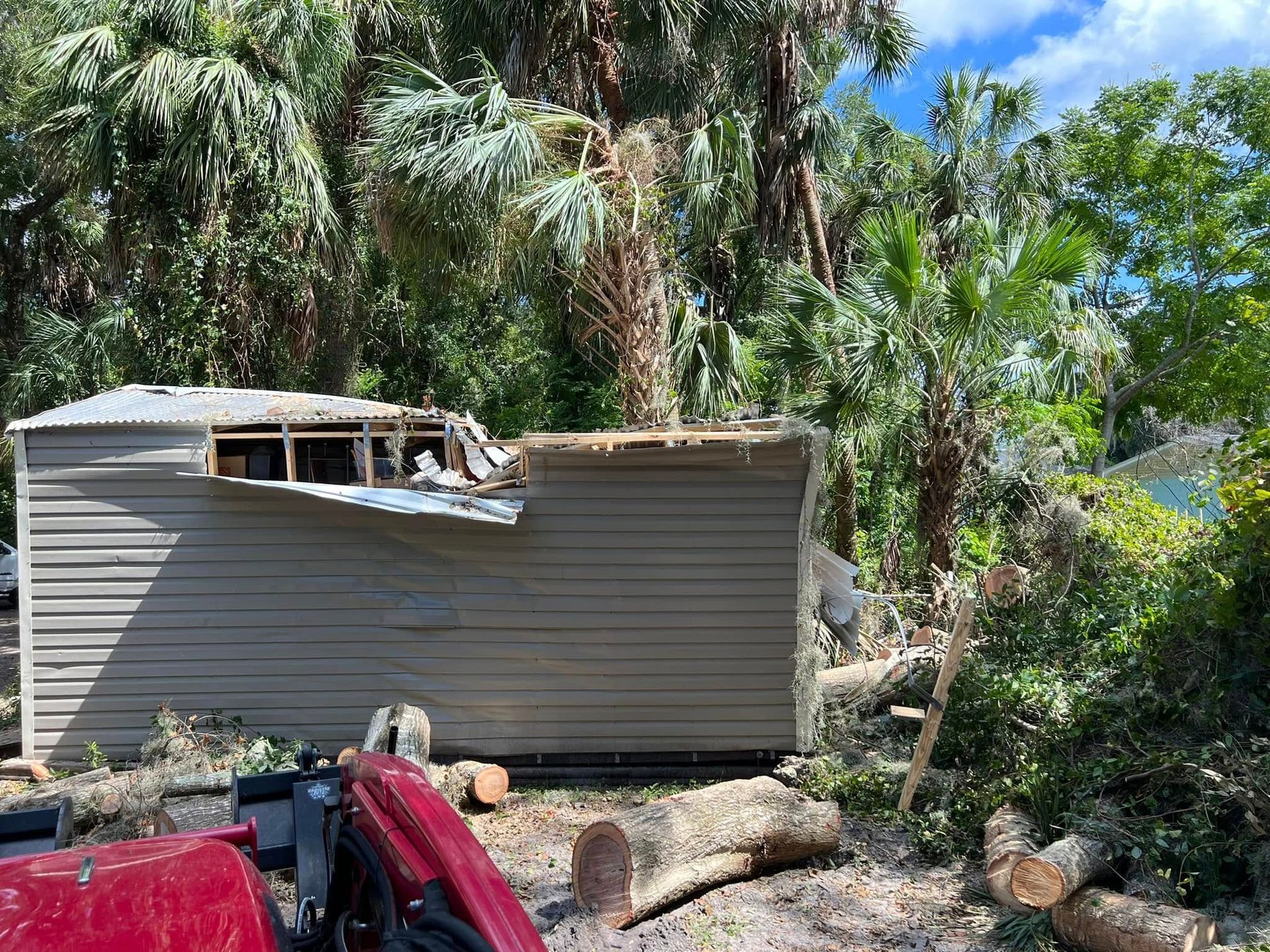 Damaged shed with ripped metal siding, surrounded by fallen tree branches and lush greenery.