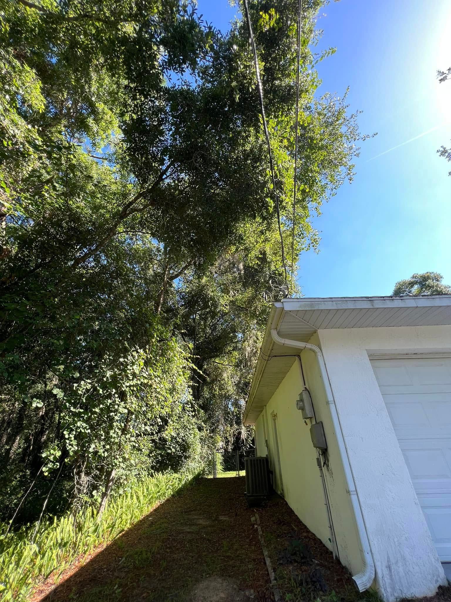 Side view of a white building with garage door, tall trees, and blue sky.