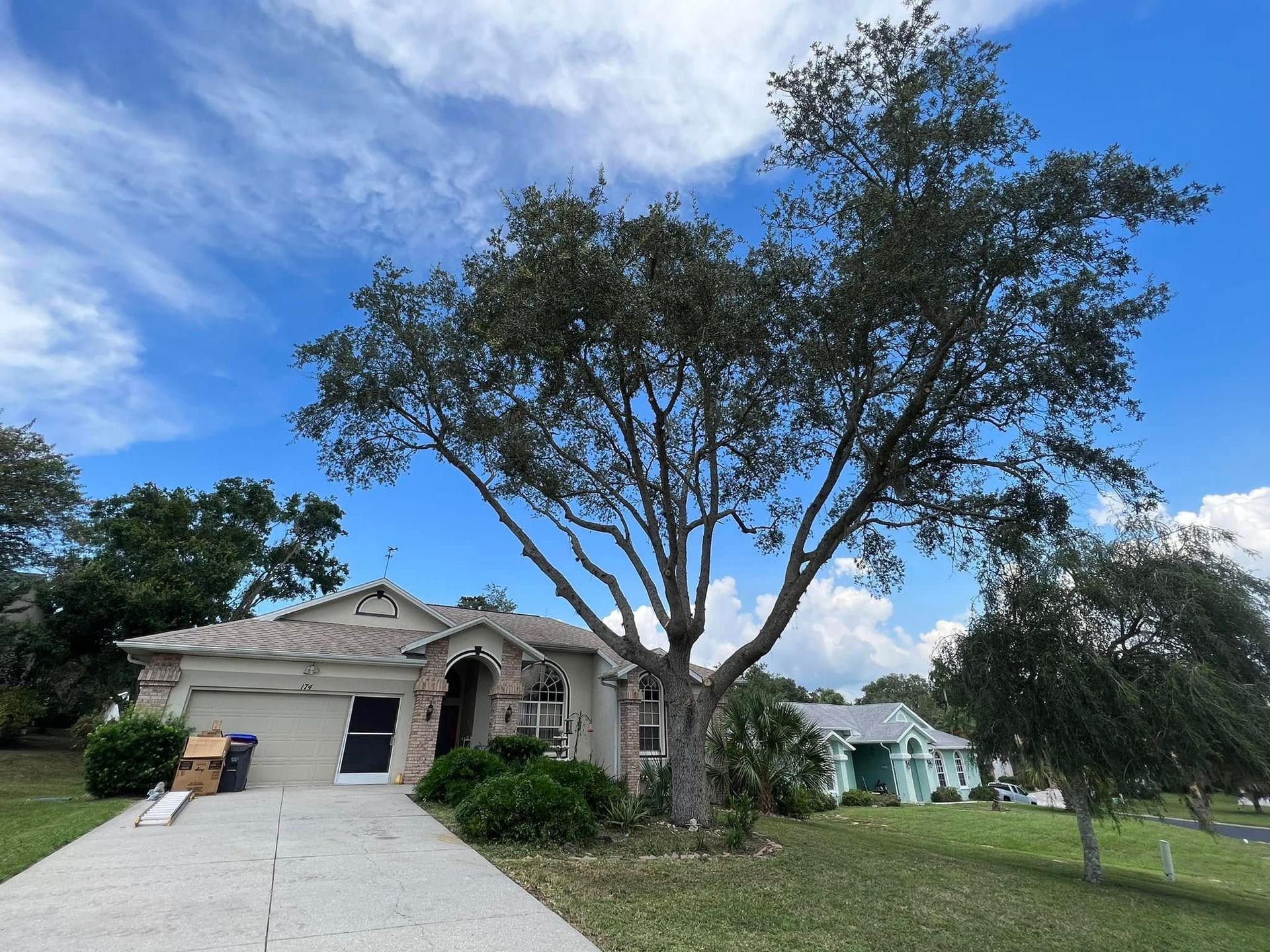 House with a large tree in front on a sunny day. Blue sky, green grass, and a concrete driveway.