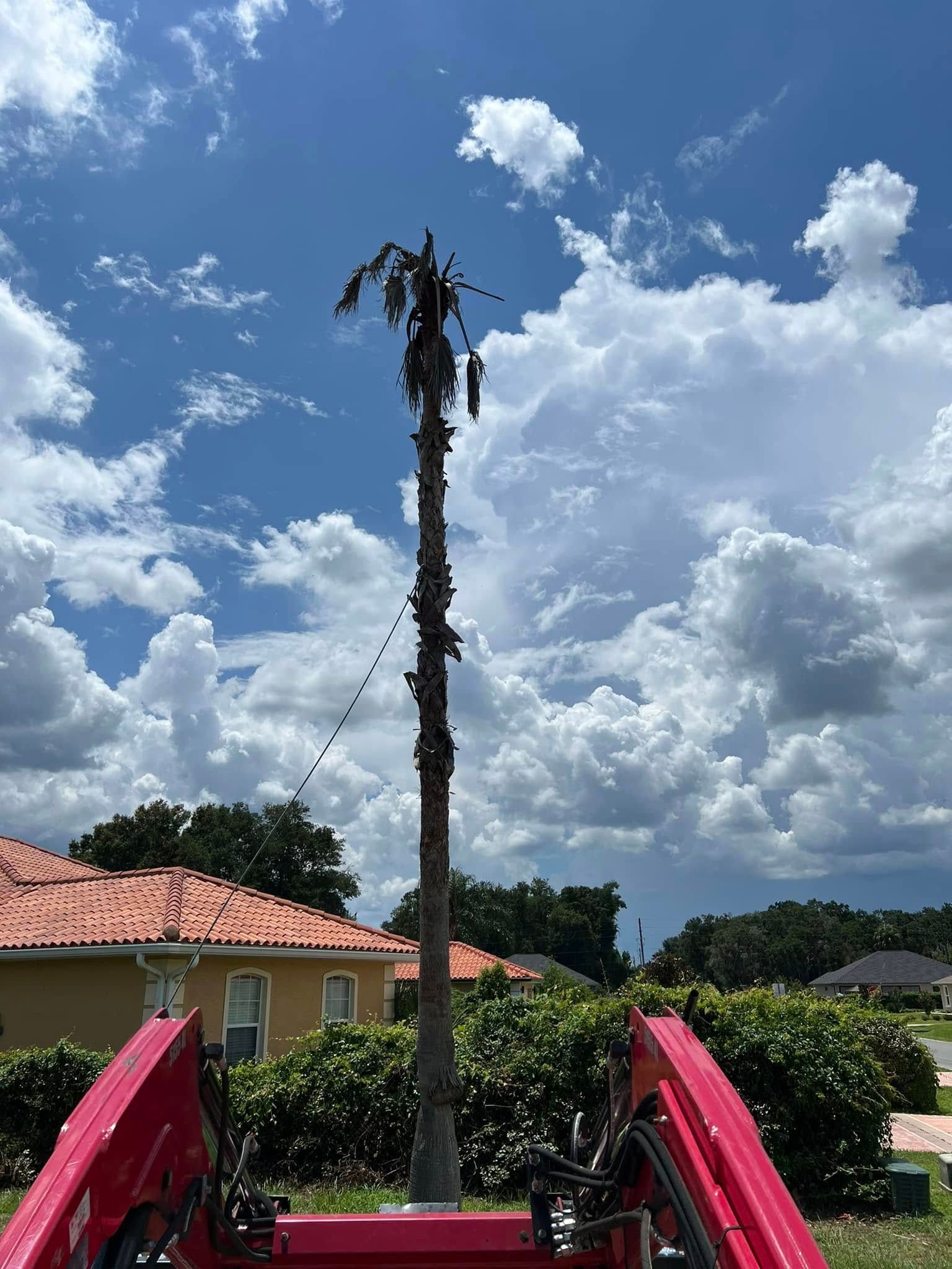 Cell tower against a blue sky with fluffy clouds. Red tractor in foreground, houses and trees in background.