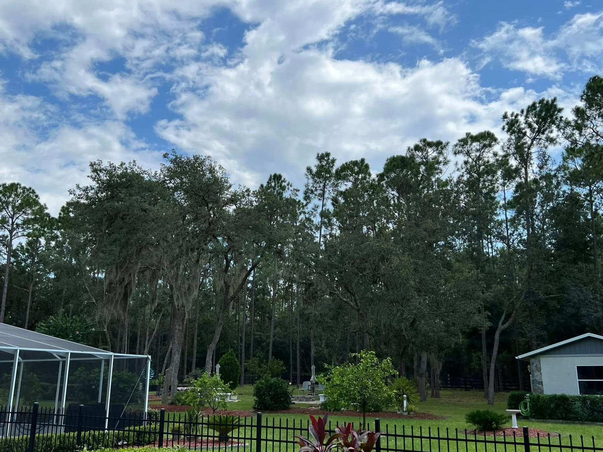 Lush green trees and bushes in a backyard with a pool enclosure and small house, under a partly cloudy sky.