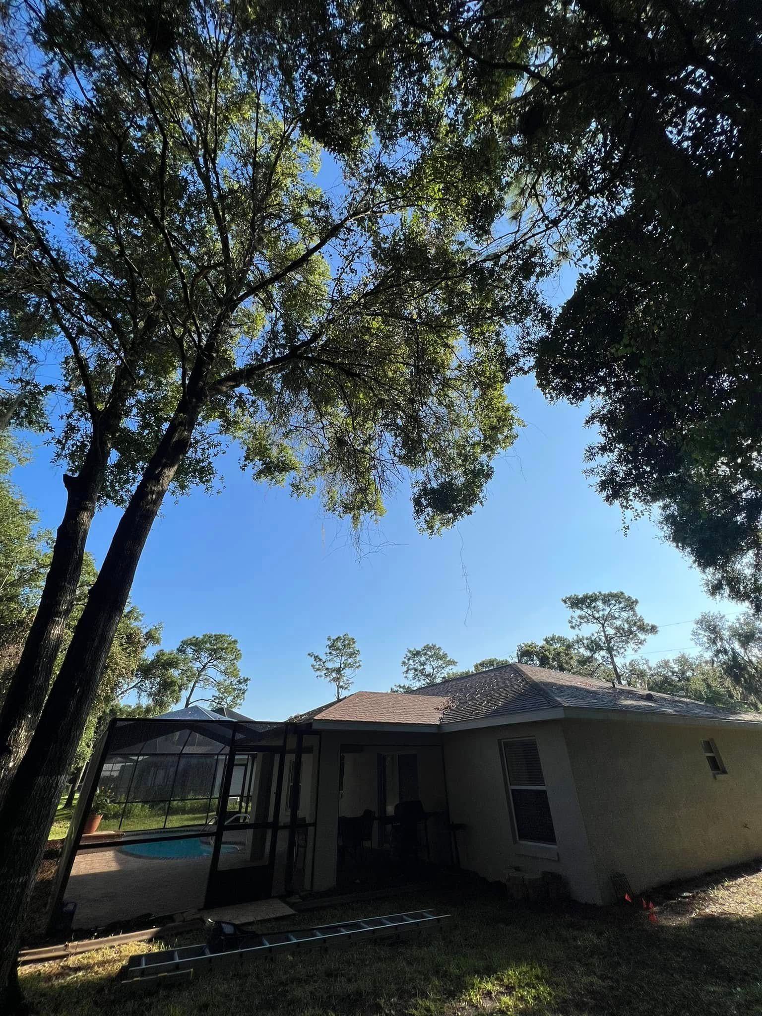 A backyard with a house, pool, and trees under a clear blue sky.