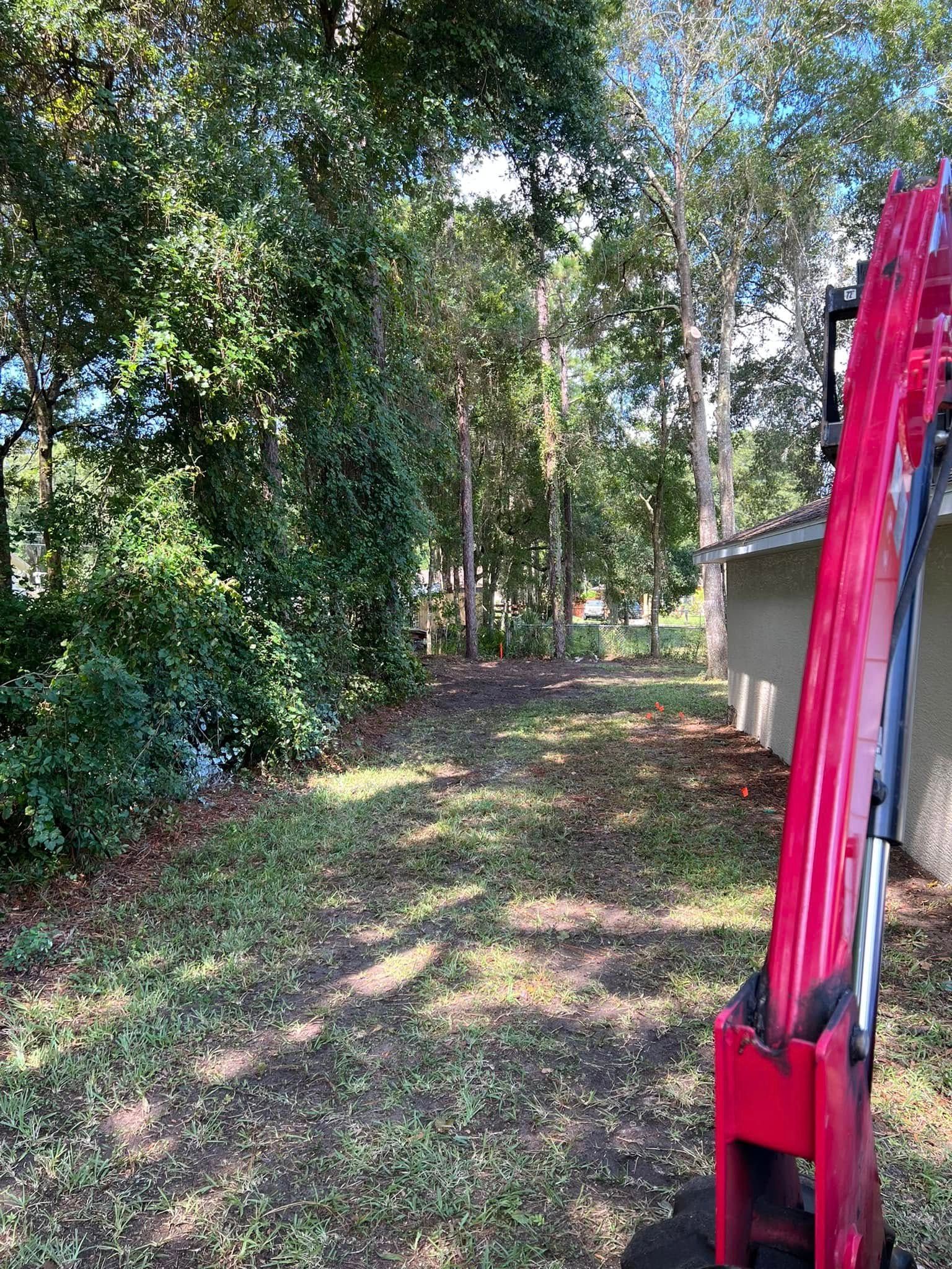 Grassy yard with a red machine on the right, trees and bushes in the background, sunny day.