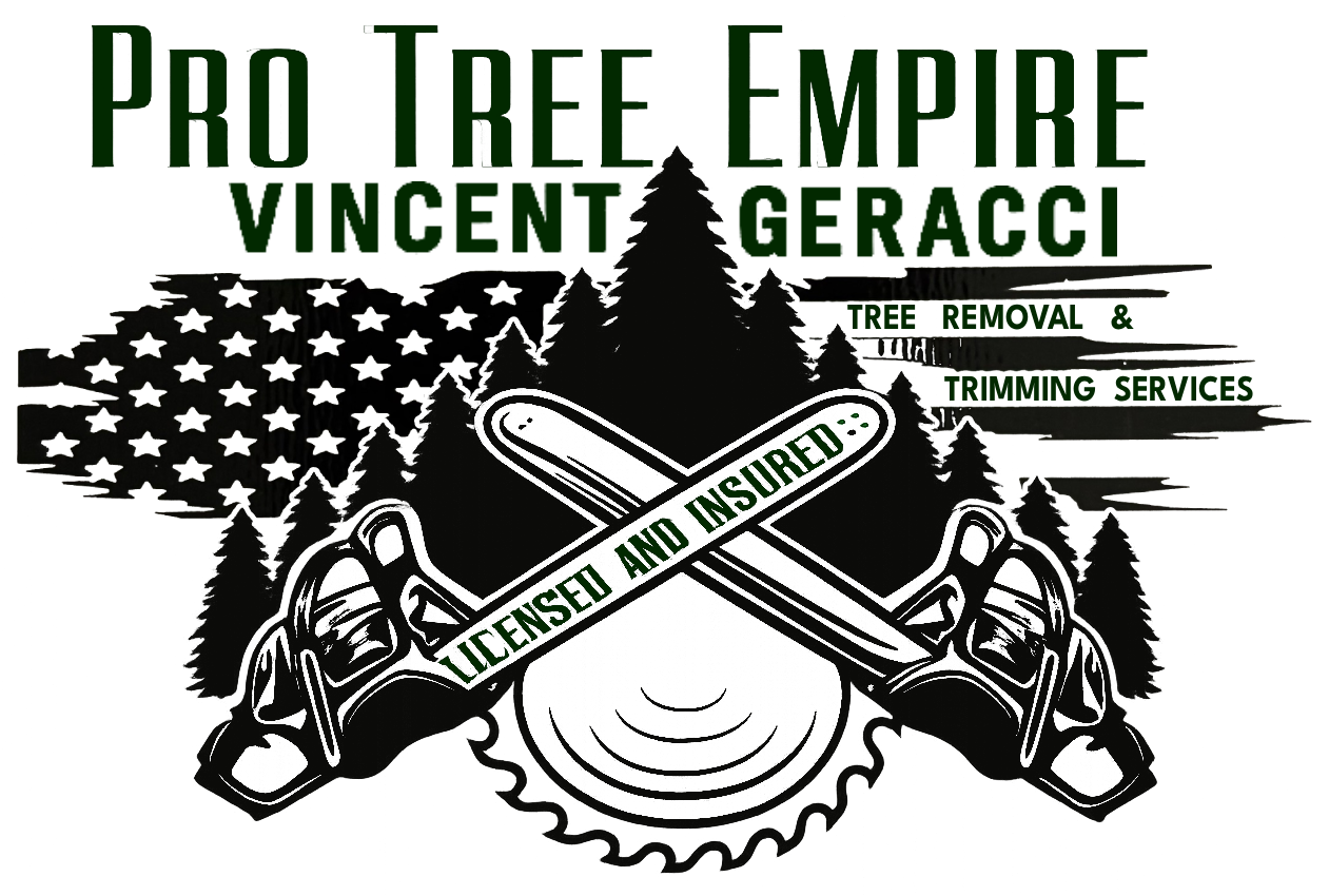 Logo for "Pro Tree Empire" with crossed chainsaws, tree silhouettes, and an American flag.