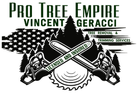 Logo for "Pro Tree Empire" with crossed chainsaws, tree silhouettes, and an American flag.