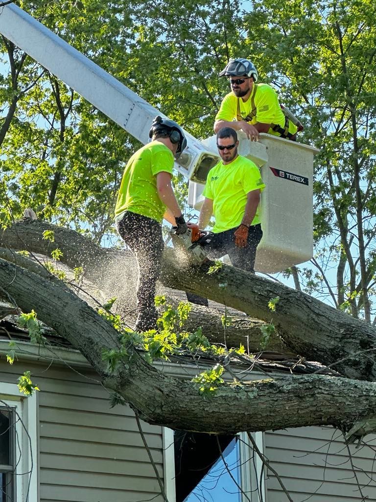 A group of men are cutting down a tree on top of a house.