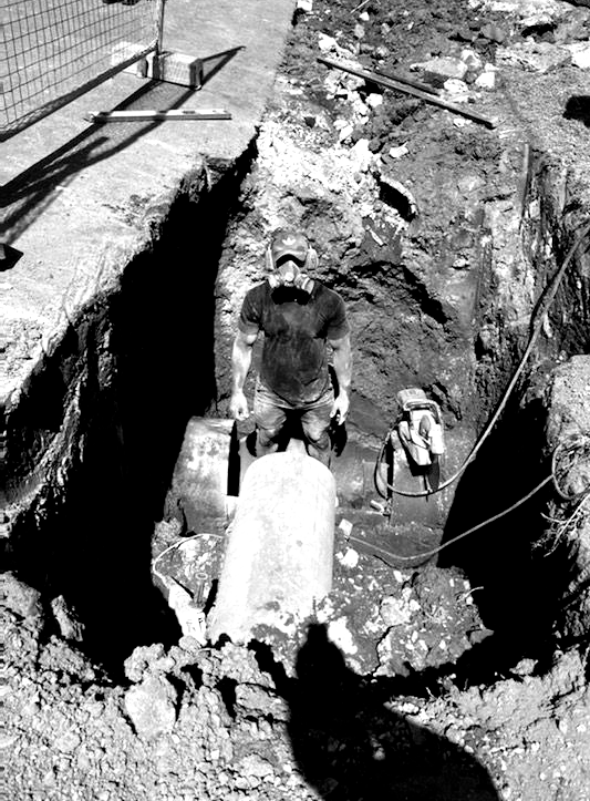A shirtless man with a beard is standing in a gym.