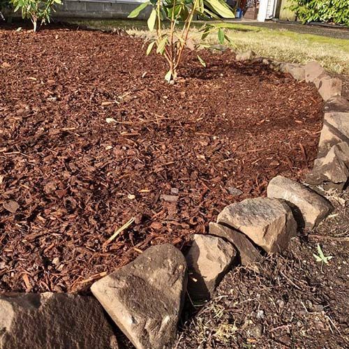 Before Landscaping — Lakewood, WA — DOVE LANDSCAPING