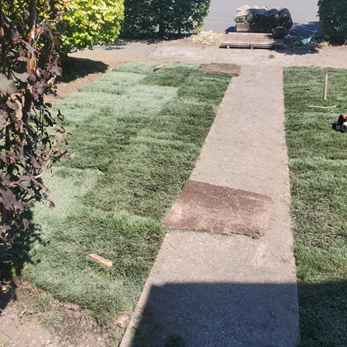 Residential Walkway — Lakewood, WA — DOVE LANDSCAPING Residential Walkway — Lakewood, WA — DOVE LANDSCAPING