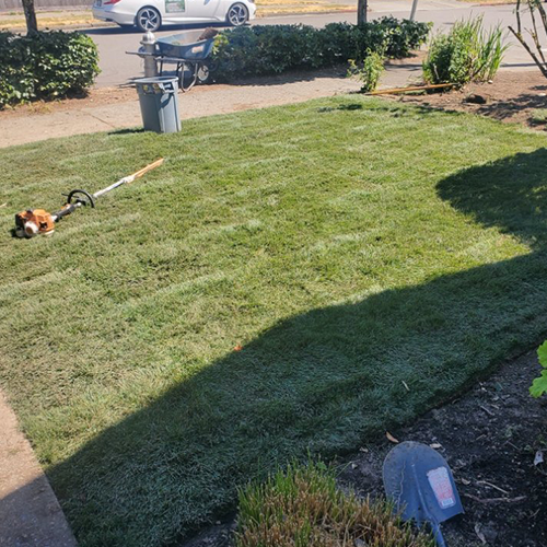 Green Field — Lakewood, WA — DOVE LANDSCAPING Green Field — Lakewood, WA — DOVE LANDSCAPING