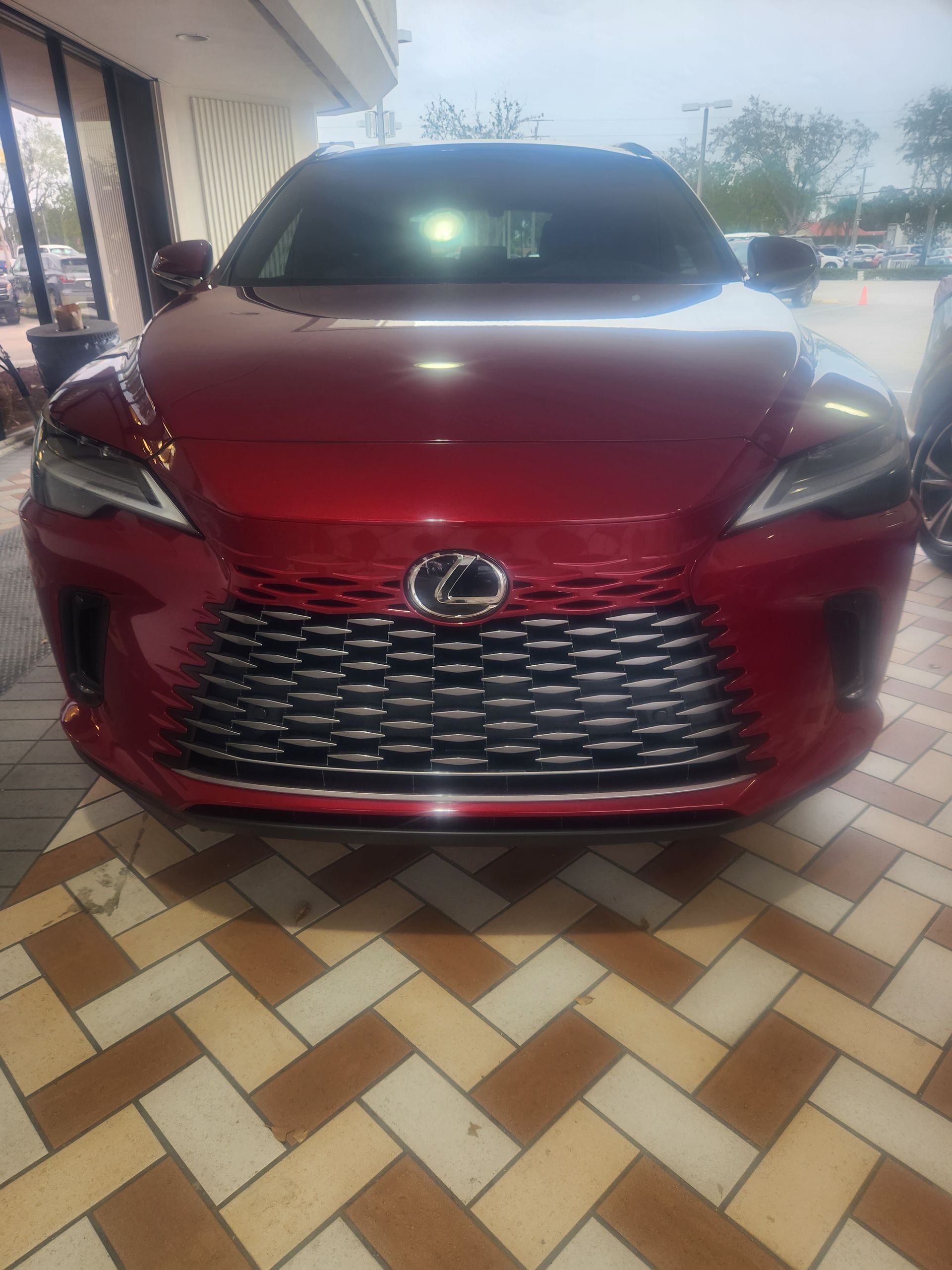 Lexus Red RX350 — Opa-locka, FL — Terr Auto World