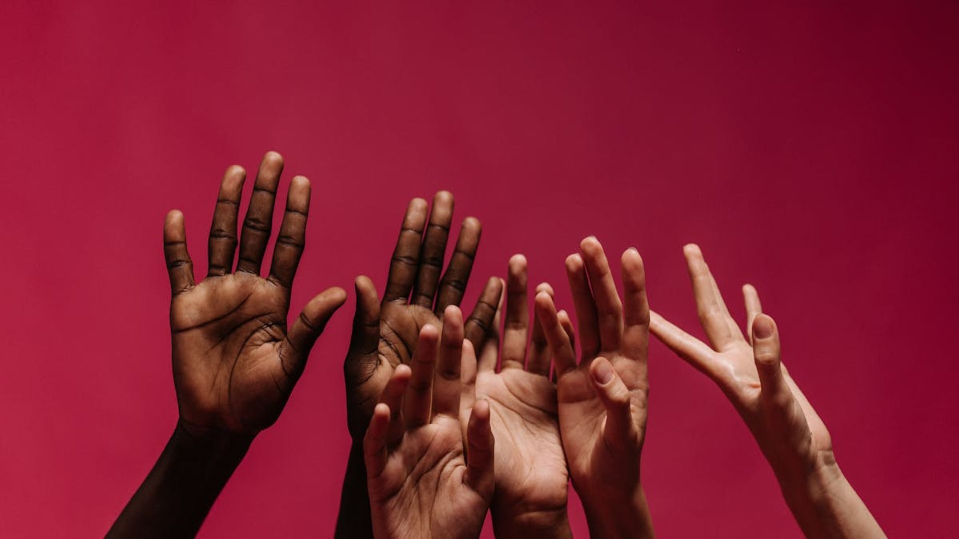 Asociación Civil Educativa y Cultural Yanagus