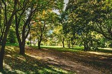 Cold Spring Parks
