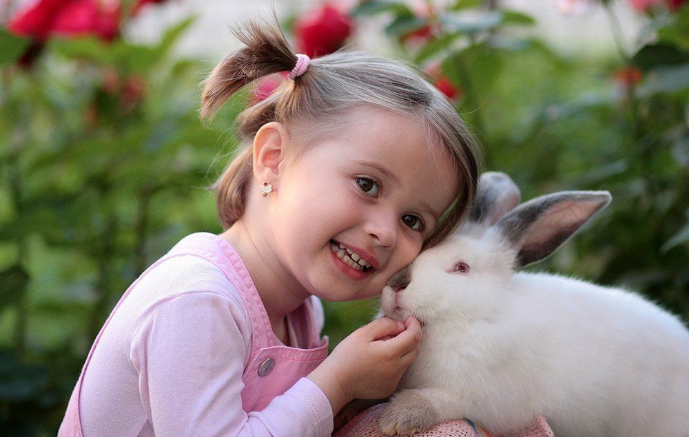 A little girl is petting a white rabbit.