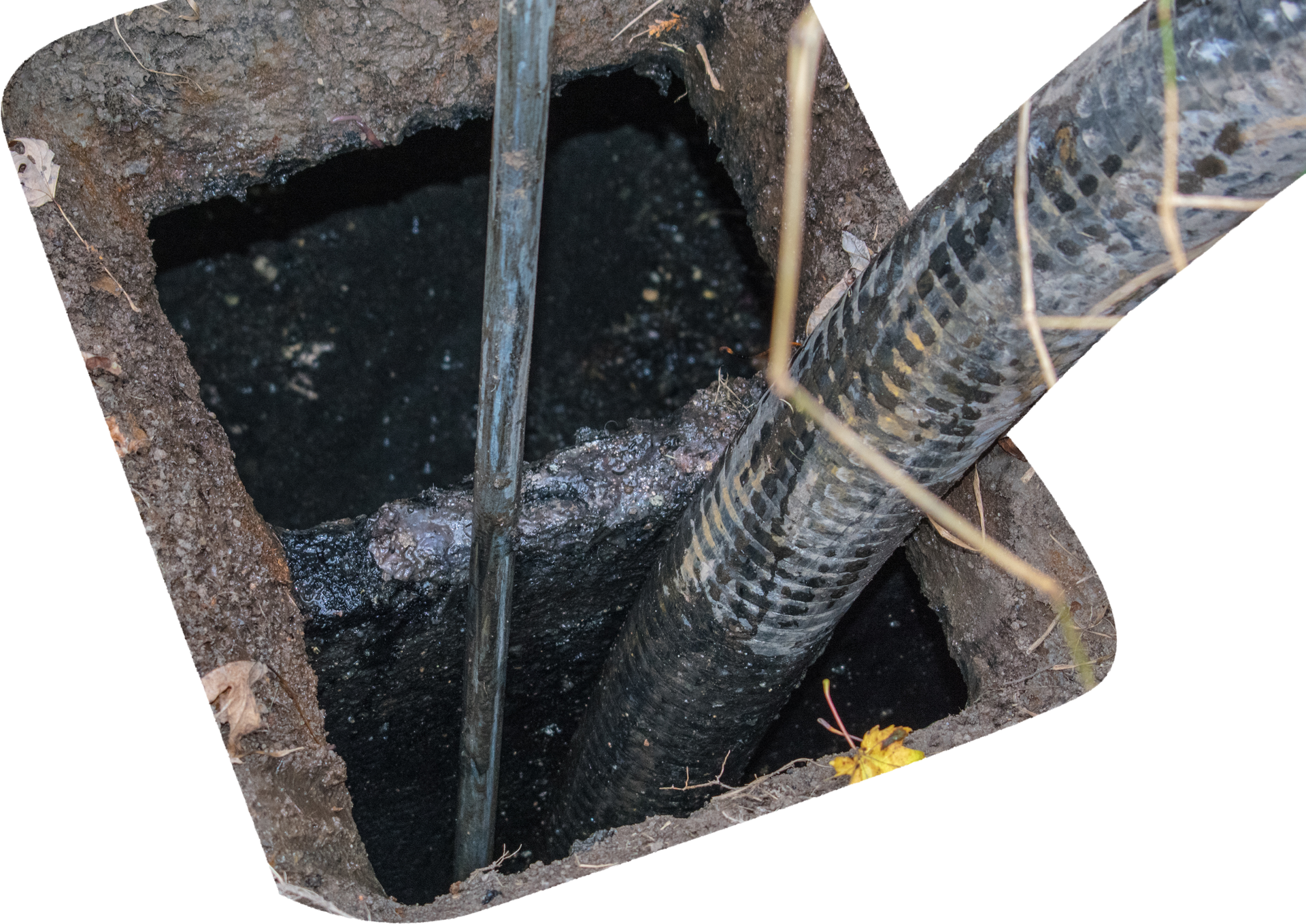 Square hole filled with black liquid, a hose, and a silver pipe.
