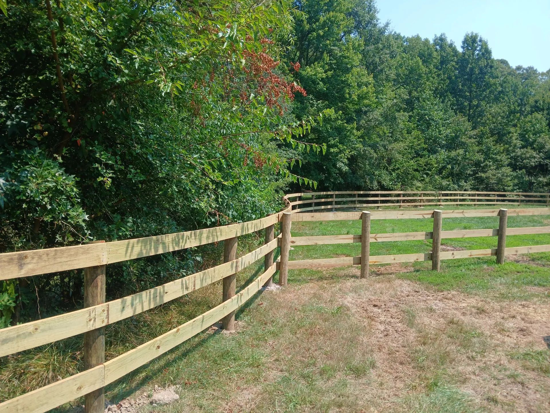 Wooden fence with a gate in a grassy field, trees in the background.