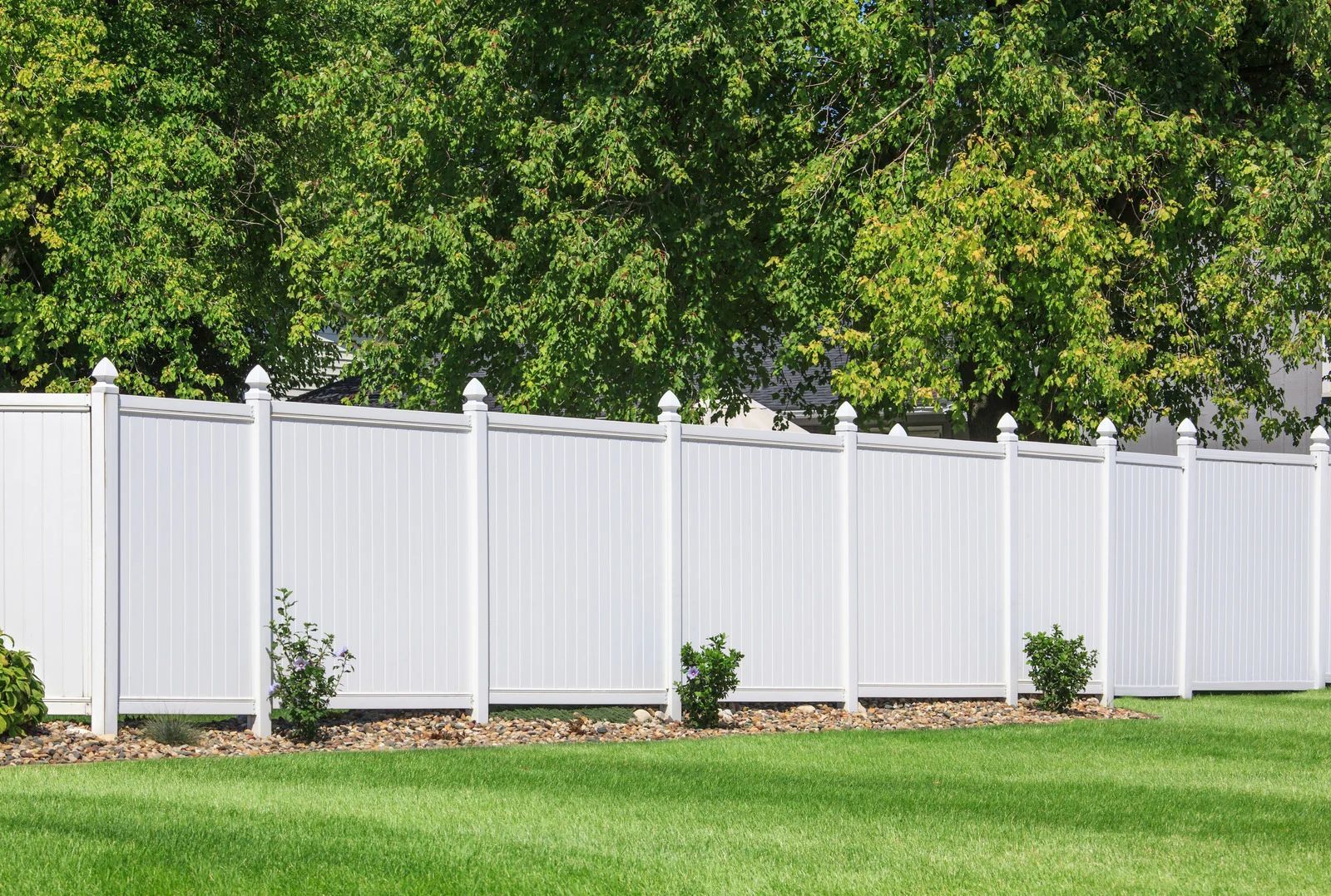White vinyl fence in a grassy yard with green trees in the background on a sunny day.