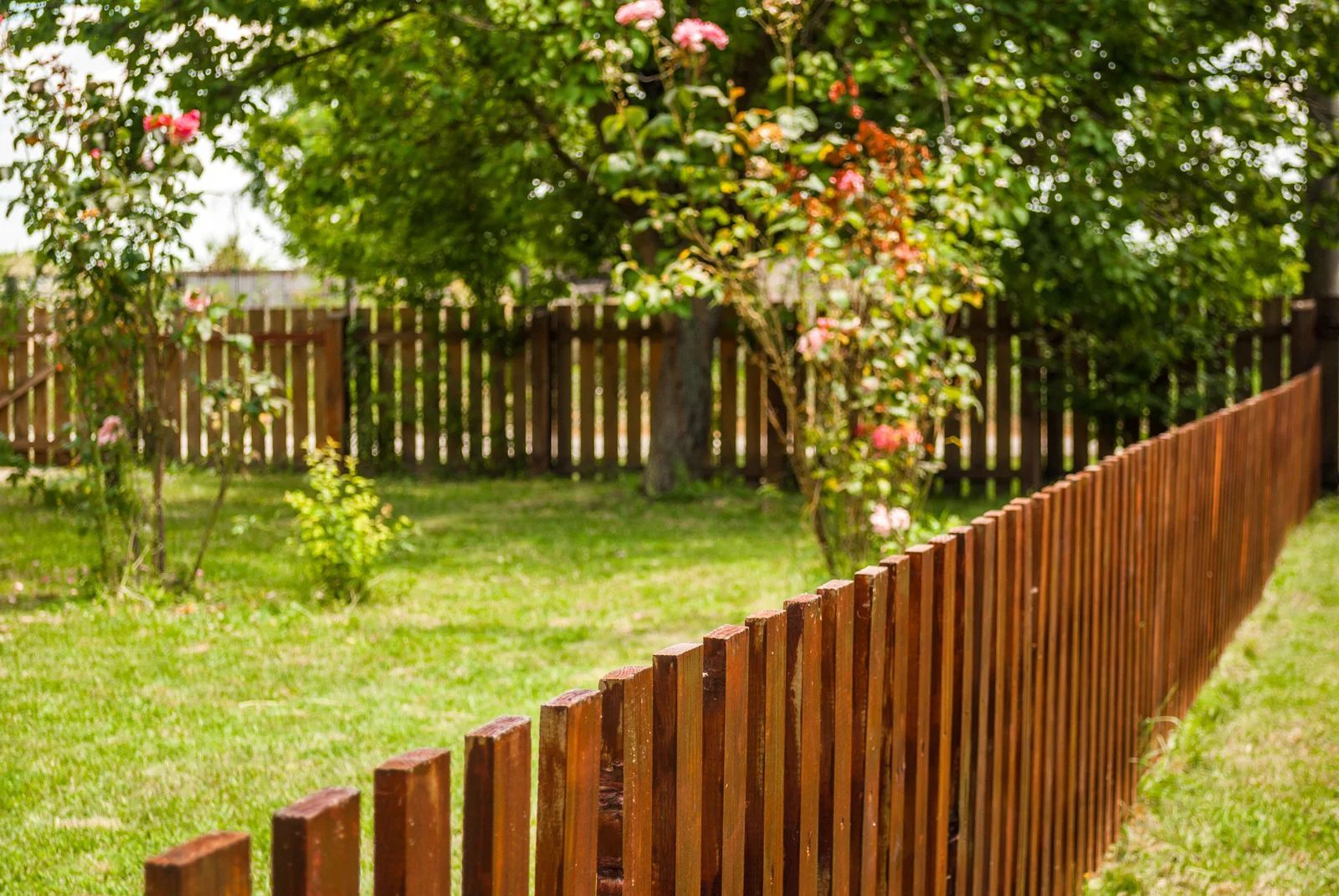 Wooden fence in a sunny green yard, with a tree and flowers in the background.