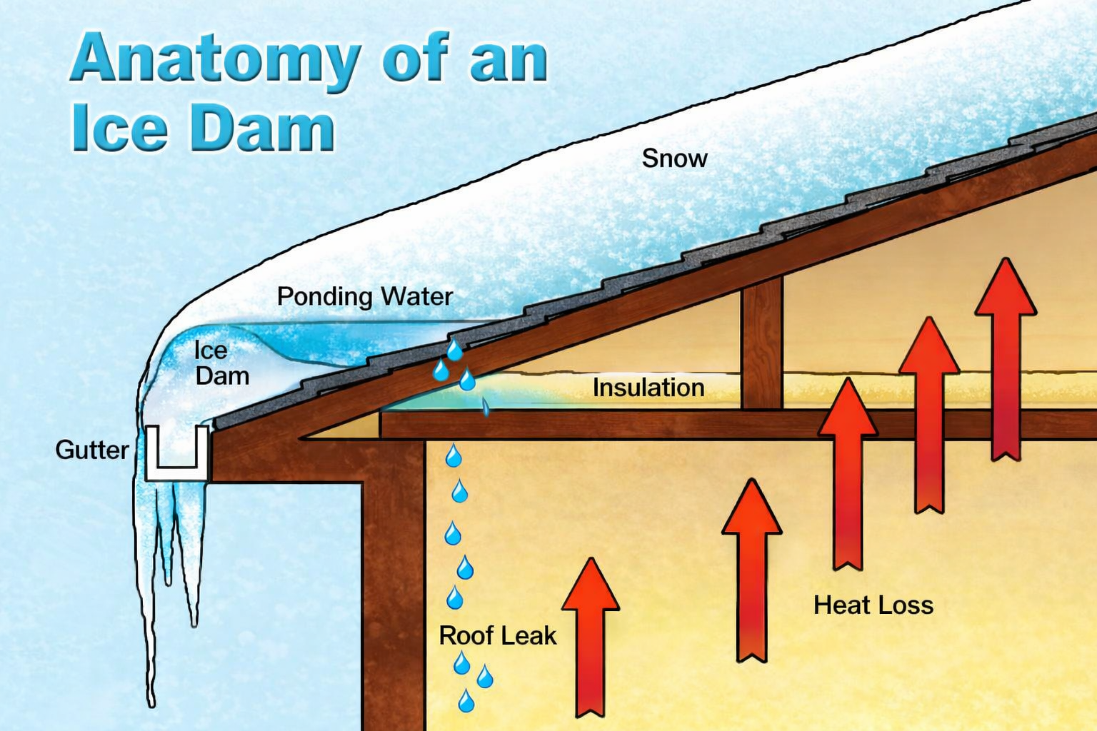 Anatomy of an ice dam diagram showing how heat loss causes ice buildup and roof leaks on Ogden homes