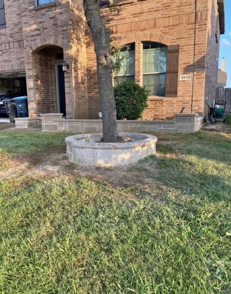 A tree in a circular stone planter in front of a brick house. Sunny day, green grass.