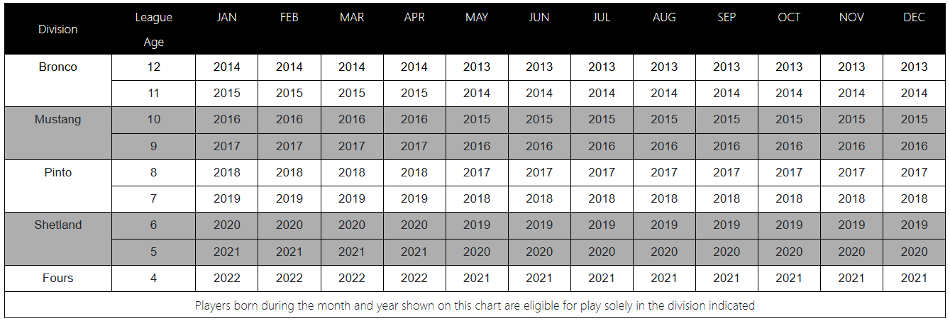Table showing various values across different categories and years.