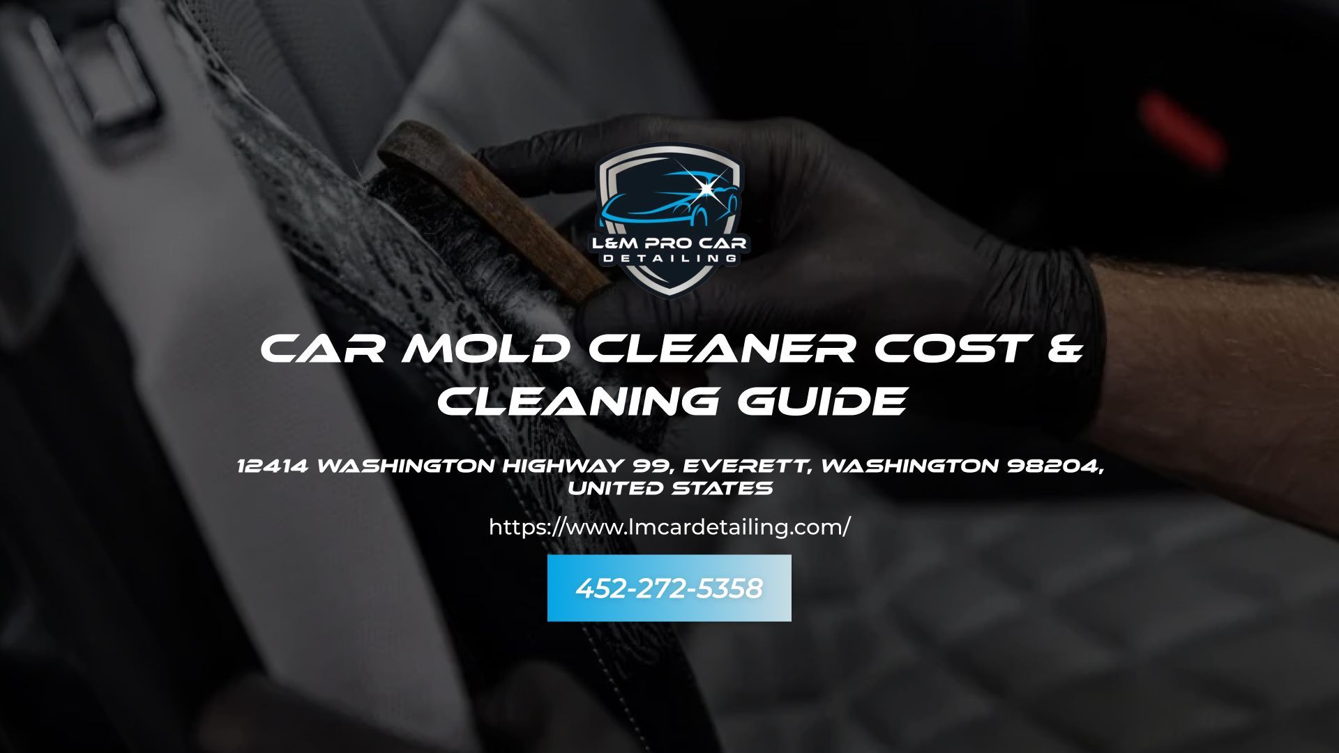 Car Mold Cleaner