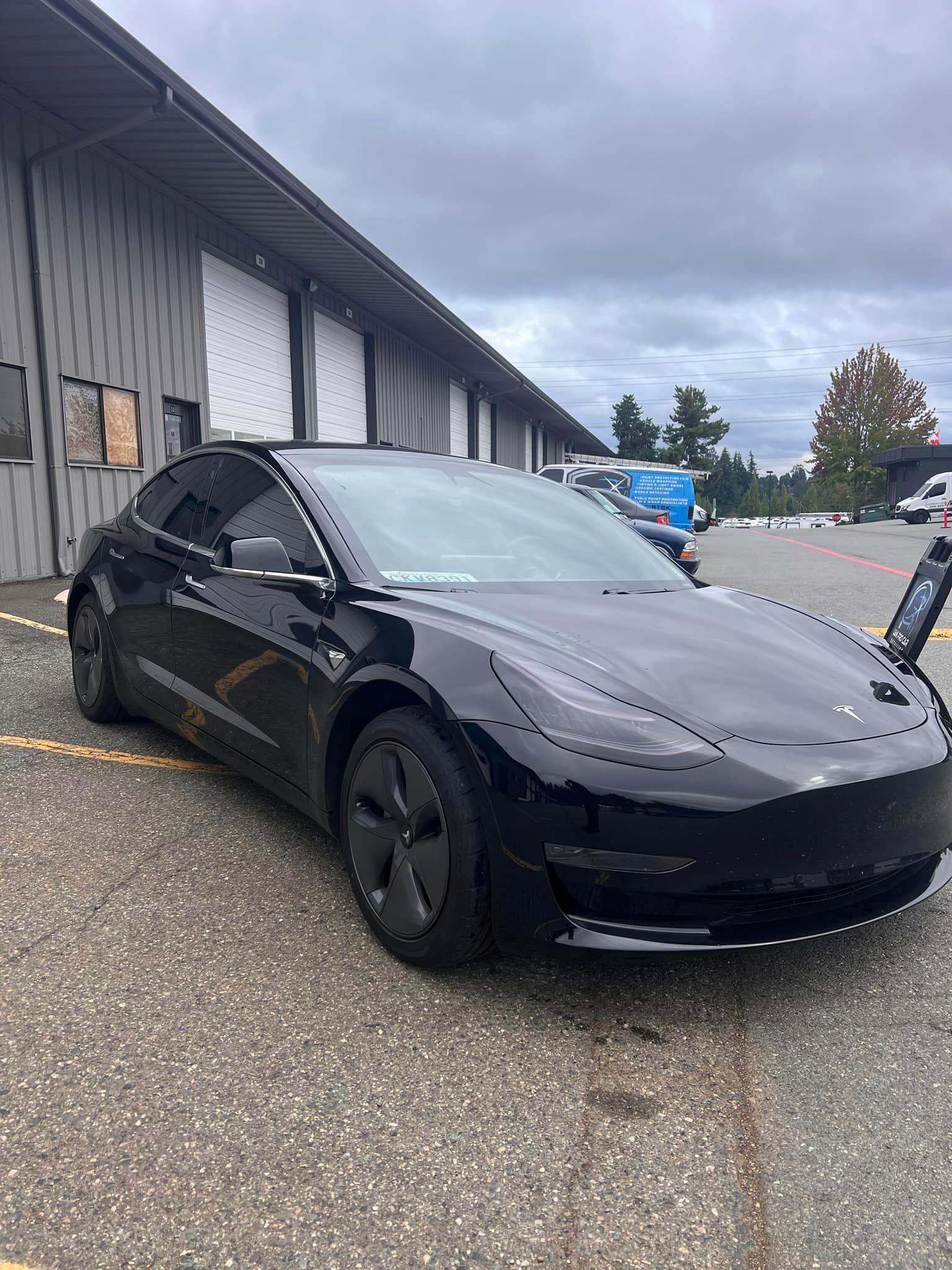 STEK+window+film+and+a+complete+paint+protection+film