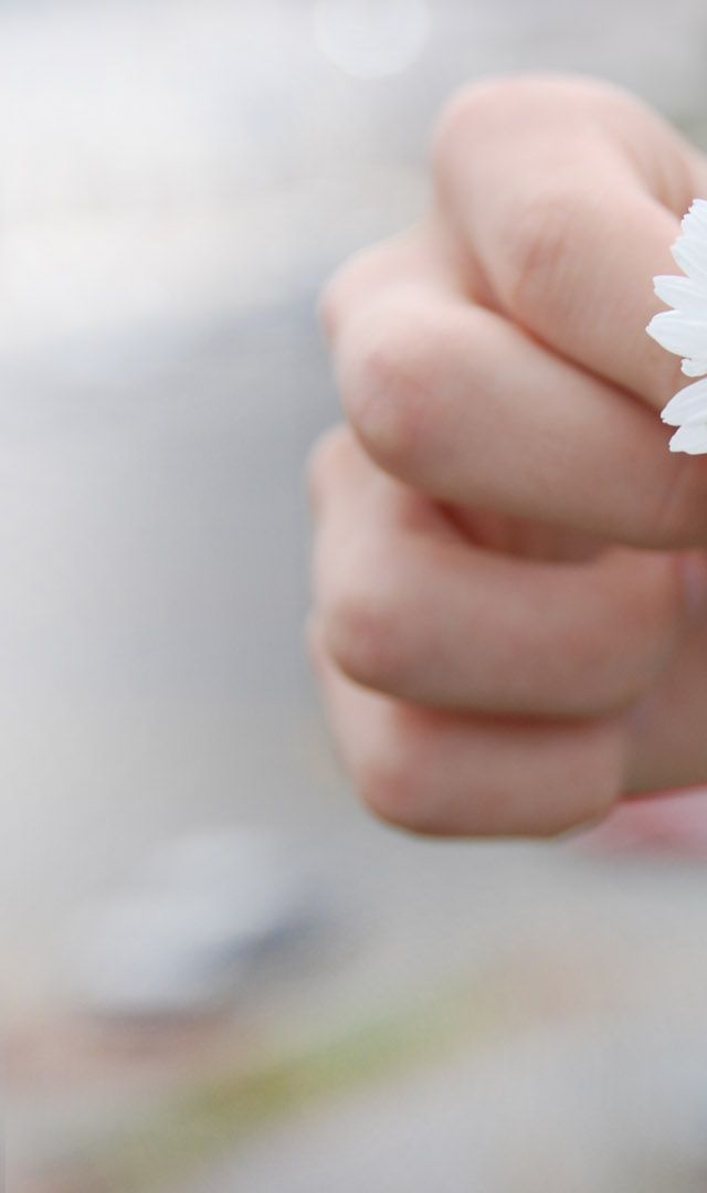 mano che tiene una margherita