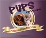 A dog and a kitten are sitting next to each other on a purple background.