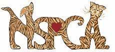 The word mercy is made of tiger print letters with a heart in the middle.