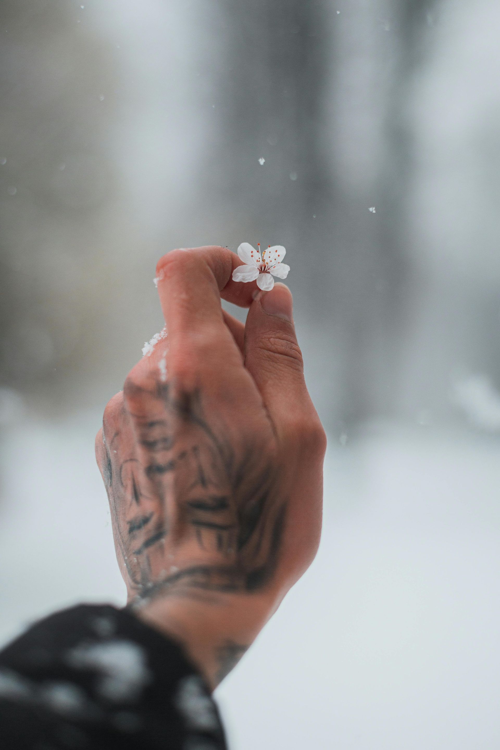 cold fingers