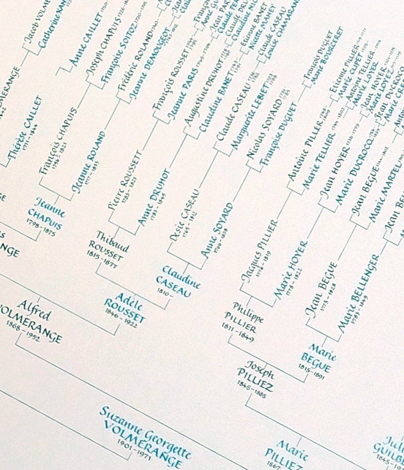 Family tree calligraphy