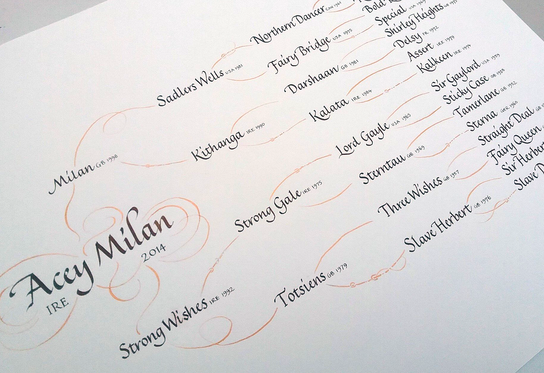 Horse pedigree written calligraphy