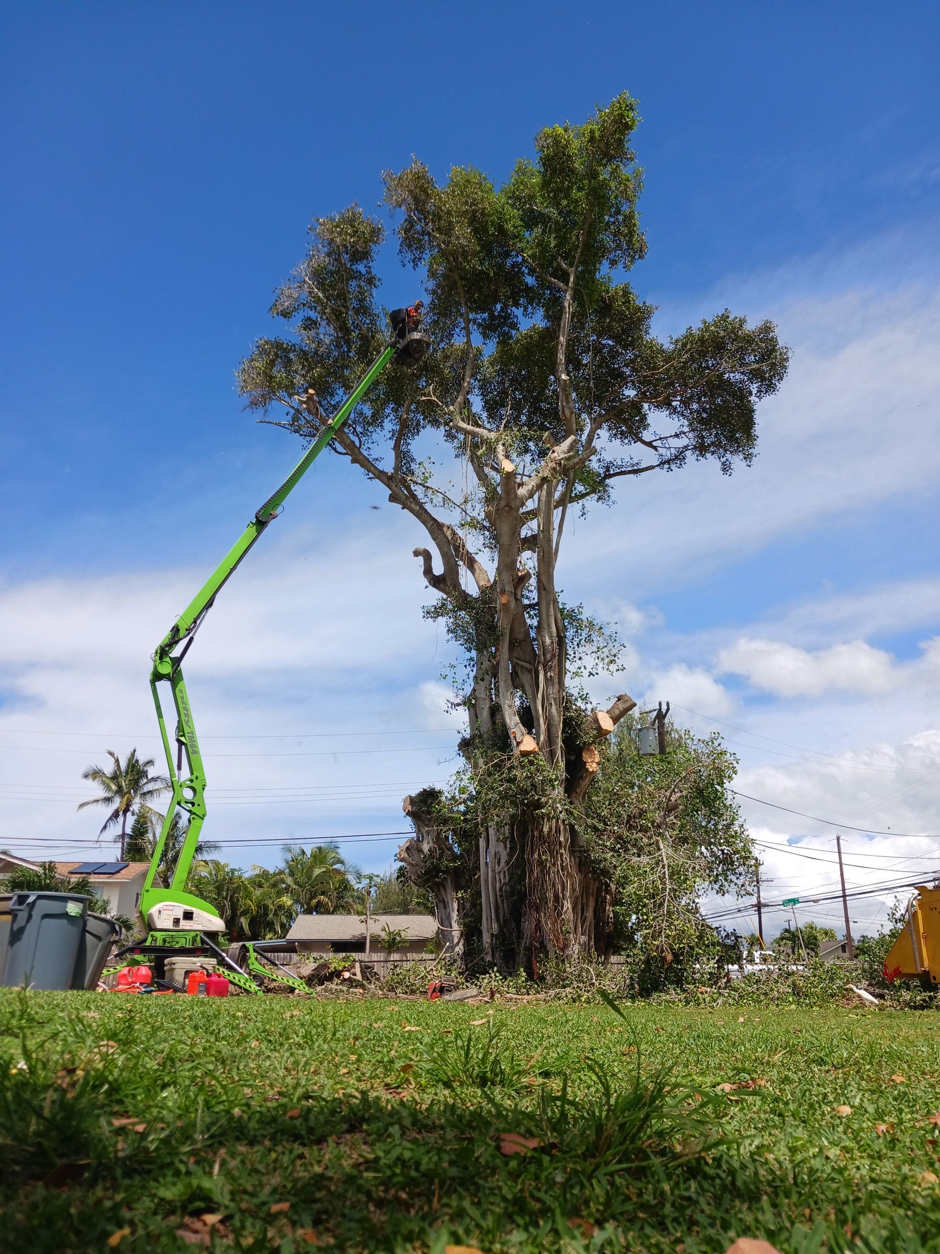 Landscapers in green uniforms trimming trees on a residential street.