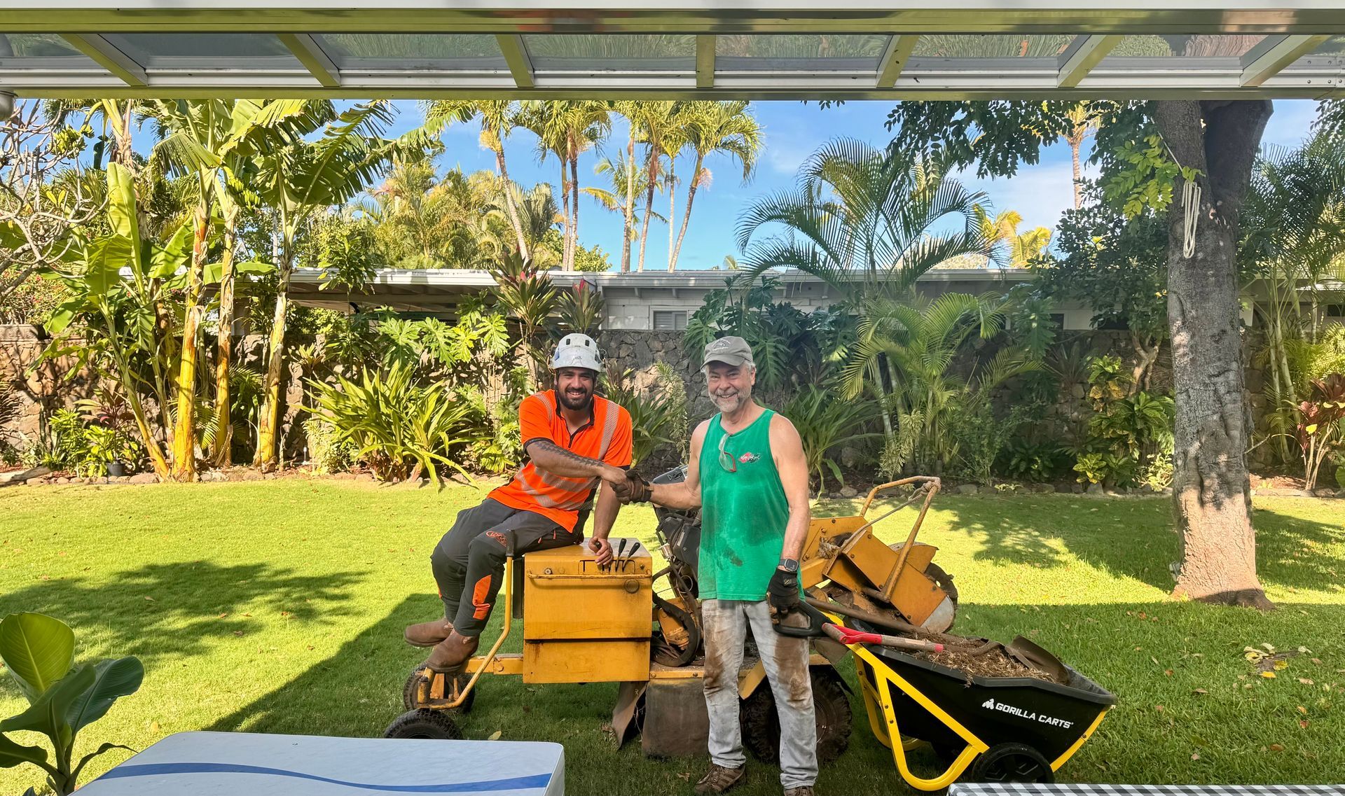 Two men with a stump grinder on a lawn. One man in orange shirt, the other in green. Bright sunny backyard.