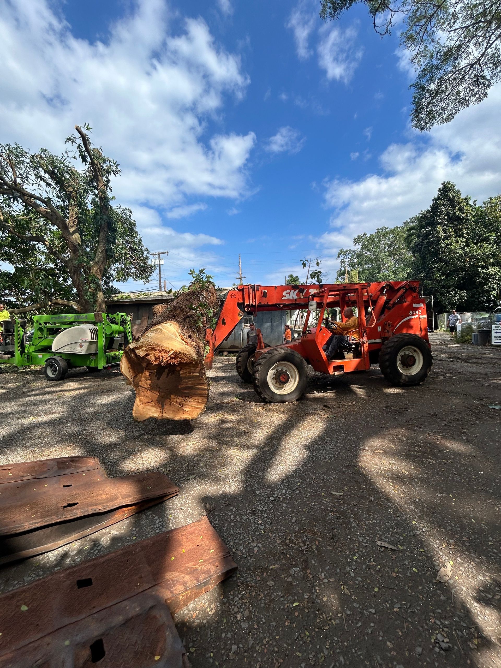 Orange telehandler lifting a large tree trunk on a gravel lot under a cloudy blue sky.