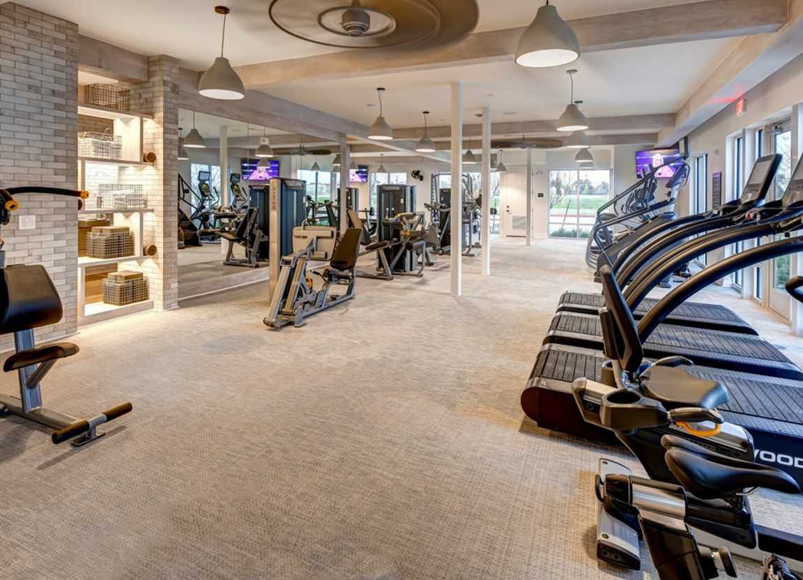 Spacious gym with various exercise machines. Natural light streams in, illuminating treadmills, weights, and other equipment.