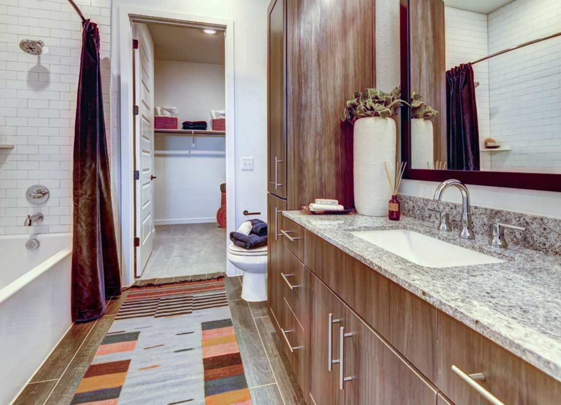 Bathroom with a vanity, toilet, bathtub, and walk-in closet visible. Colorful rug and dark brown accents create a modern feel.