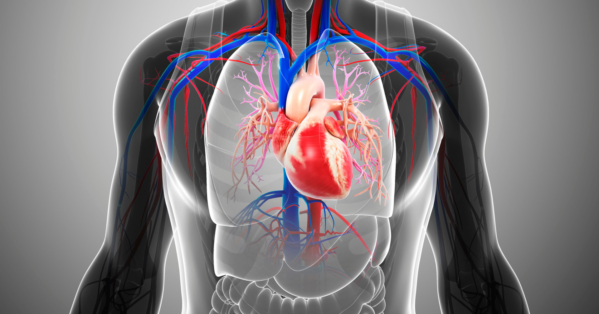 Heart Health and Physical Therapy with Restore Physical Therapy