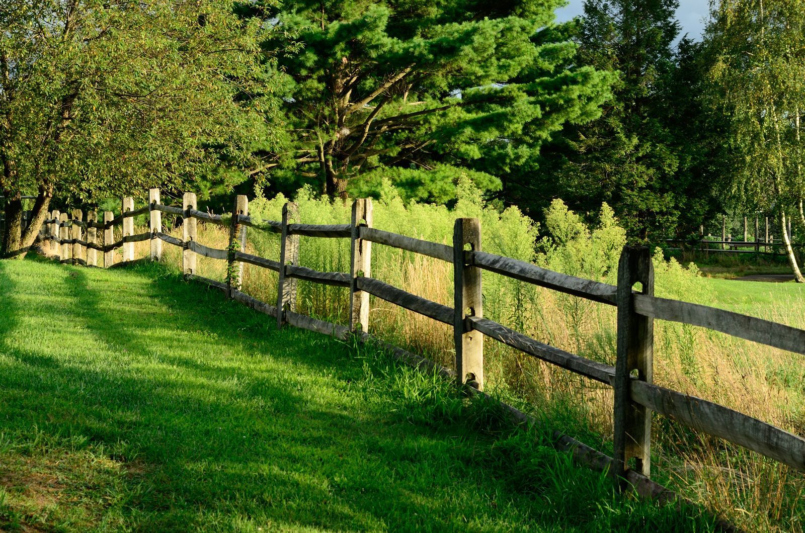 Wooden split-rail fence in a grassy field, with trees in the background under a sunny sky.